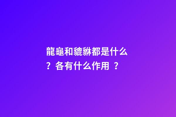 龍龜和貔貅都是什么？各有什么作用？